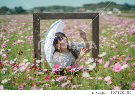 コスモス畑で花を楽しむ女性 コスモス畑で花を楽しむ女性 107120300