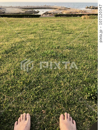 アーシング 107120347