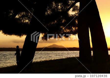 ロマンチック茨城（夕景の筑波山を望む松林の湖畔に釣り人がひとり糸を垂らす。優雅な時。）涸沼、親沢公園 107120436