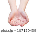 上から両手で差し出す若い女性の手 107120439