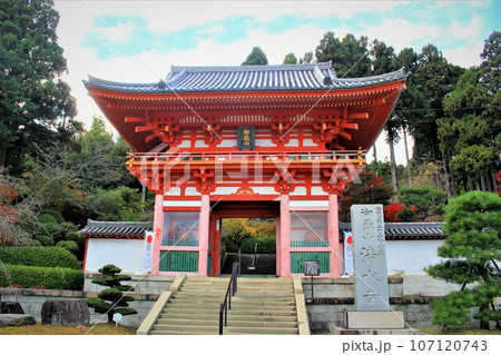 播州清水寺紅葉 播州清水寺紅葉 107120743