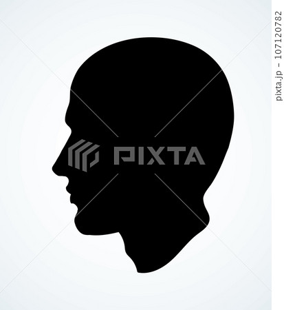 Vintage french wig. Vector drawing Vintage french wig. Vector drawing 107120782