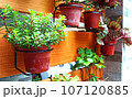 植物 工場 プランツ 107120885