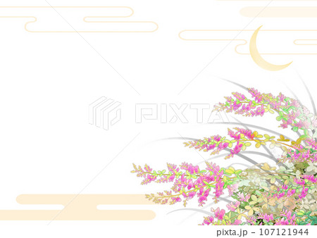 萩に月-エ雲 萩に月-エ雲 107121944