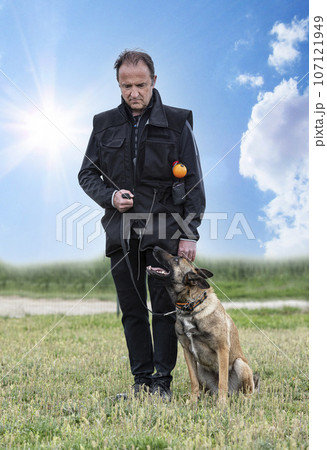 training of belgian shepherd 107121949
