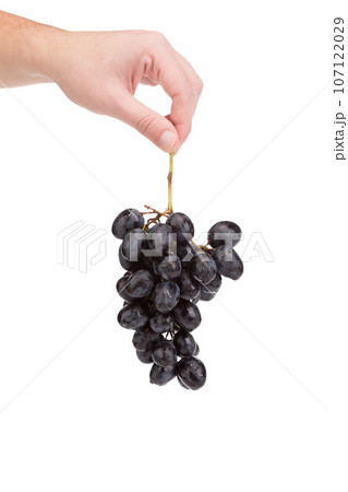 A hand holds a bunch of grapes. 107122029