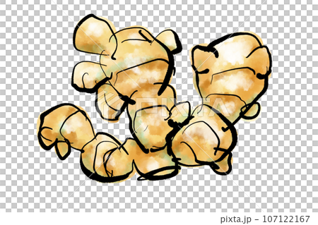 しょうがの手描きイラスト手描きイラスト（筆書き水彩墨絵風） 107122167