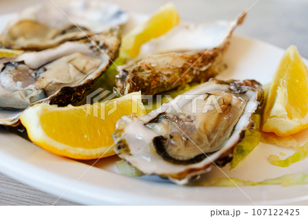 Fresh large oysters served lemons on white plate Fresh large oysters served lemons on white plate 107122425