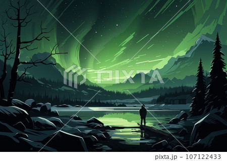 Beautiful colorful northern lights 107122433