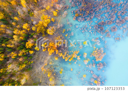 Aerial view. Fall forest in turquoise water. Natural scenery in fall time. Mountain lake and trees. Aerial view. Fall forest in turquoise water. Natural scenery in fall time. Mountain lake and trees. 107123353