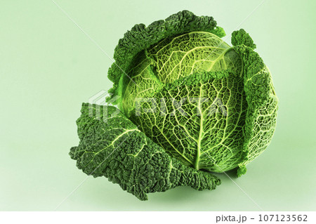 Fresh ripe savoy cabbage isolated on light green background. Close up wallpaper. Fresh ripe savoy cabbage isolated on light green background. Close up wallpaper. 107123562