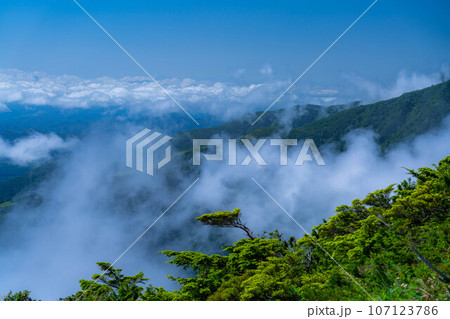 【山岳素材】夏の唐松岳登山風景【長野県】 107123786