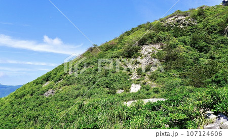 新島の石山トレッキングコースの岩山 107124606