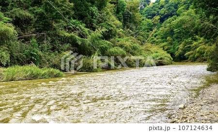 千葉県市原市にある濁って増水した養老川 107124634