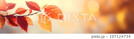 Autumn background with yellow and red leafs. Autumnal background, good for advertising or banners. Autumn background with yellow and red leafs. Autumnal background, good for advertising or banners. 107124734