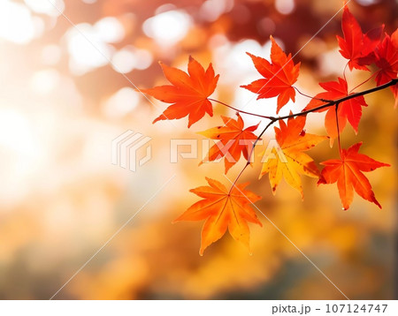 Autumn background with yellow and red leafs. Autumnal background, good for advertising or banners. Autumn background with yellow and red leafs. Autumnal background, good for advertising or banners. 107124747