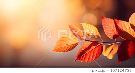 Autumn background with yellow and red leafs. Autumnal background, good for advertising or banners. Autumn background with yellow and red leafs. Autumnal background, good for advertising or banners. 107124759