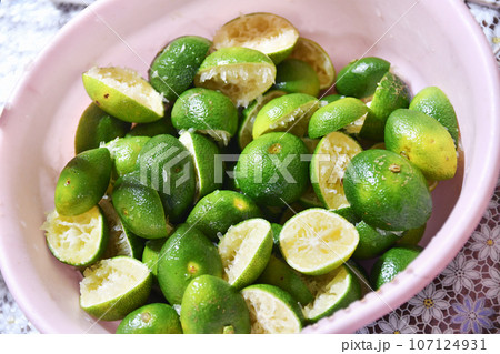 宮崎特産のヘベス 107124931