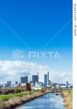 「埼玉県」見沼田んぼから見る、爽やかな秋空とさいたま新都心 107124959