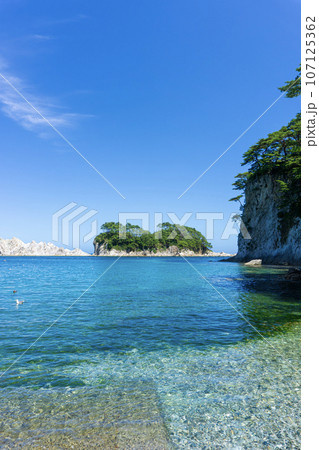 浄土ヶ浜の透き通った湾の景色 107125362