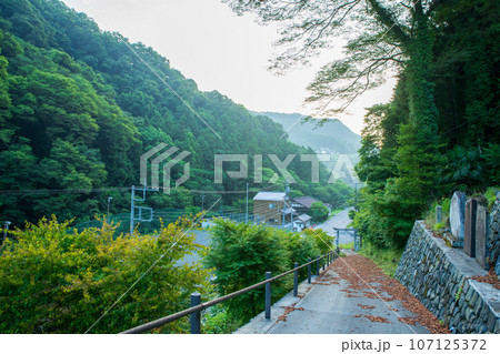 日野澤大神社 参道から 早朝の風景 皆野町 日野澤大神社 参道から 早朝の風景 皆野町 107125372