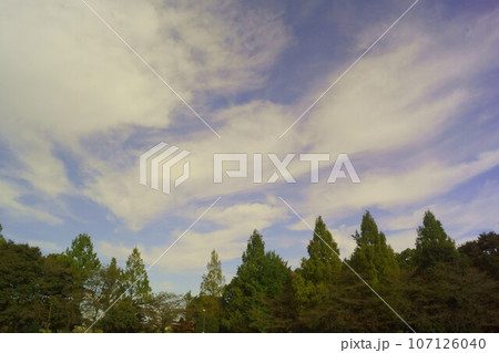 秋空に映える雲 秋空に映える雲 107126040