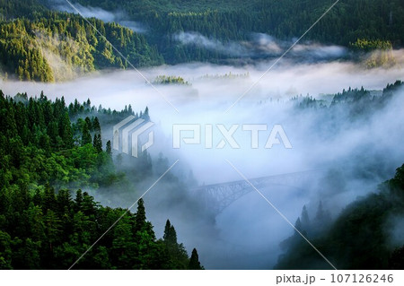 只見線 朝霧に包まれる夏の第一只見川橋梁(福島県三島町、8月中旬早朝) 只見線 朝霧に包まれる夏の第一只見川橋梁(福島県三島町、8月中旬早朝) 107126246