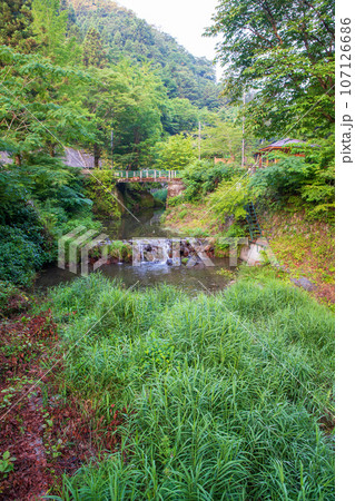 日野沢川　親水広場　早朝の風景　皆野町 107126686