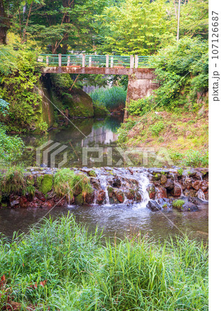日野沢川 親水広場 早朝の風景 皆野町 日野沢川 親水広場 早朝の風景 皆野町 107126687