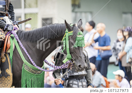 祭りの馬装　福島県会津若松市 107127973