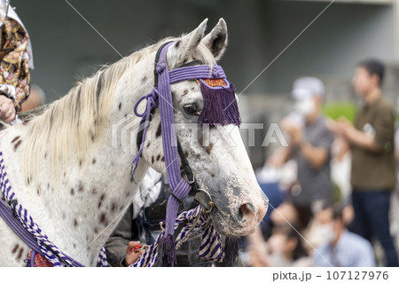 祭りの馬装　福島県会津若松市 107127976