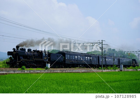 大野下付近を走るSL人吉 107128985