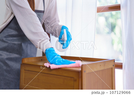 Hygiene cleaning concept, Housemaid use cloth and cleanser spray to wiping the dust on cabinet Hygiene cleaning concept, Housemaid use cloth and cleanser spray to wiping the dust on cabinet 107129066