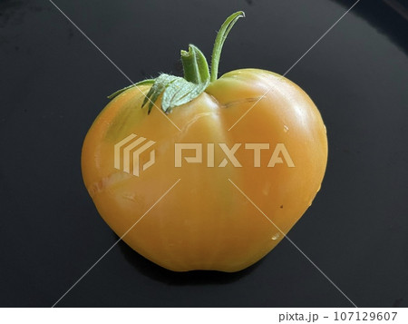 Yellow tomato closeup 107129607