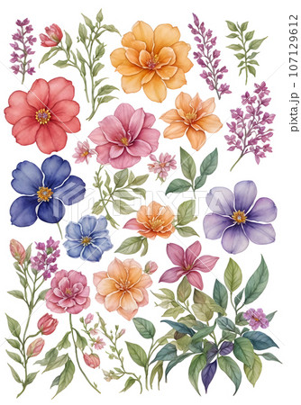 set of watercolor flowers and beauty of various floral species,generative ai 107129612