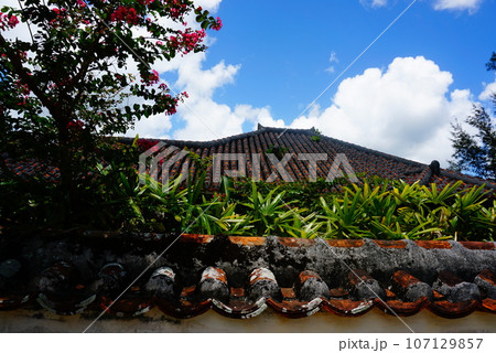 やいま村の家屋 やいま村の家屋 107129857