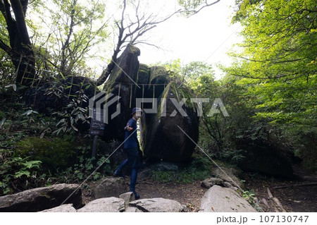 光の向こうへと誘う謎の男性 107130747