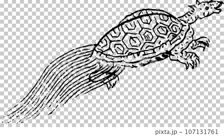 Turtle Turtle 107131761