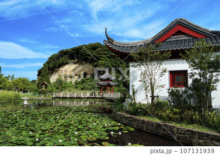 池のある風景 池のある風景 107131939