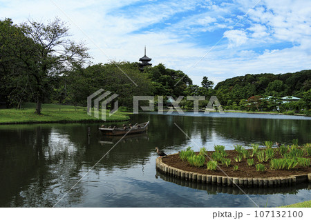 神奈川県横浜市中区三渓園の秋 107132100