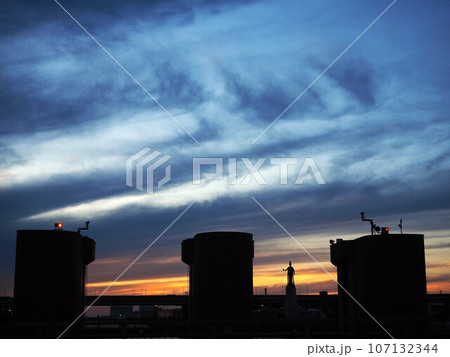 堺市　龍女神像が見える夕景 107132344