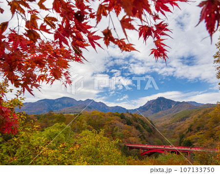 真っ赤な橋と紅葉した木々(山梨県北杜市・東沢橋) 真っ赤な橋と紅葉した木々(山梨県北杜市・東沢橋) 107133750