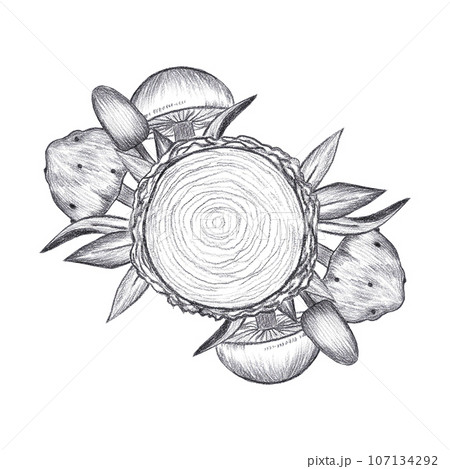 Hand drawn black pencil composition with saw cut, leaves and mushrooms isolated on white background. Can be used for post card, label and other printed products. 107134292