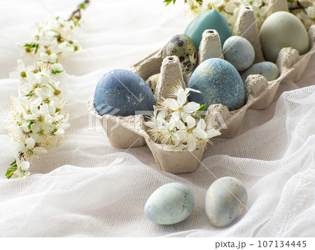 Blue painted easter eggs on white background 107134445