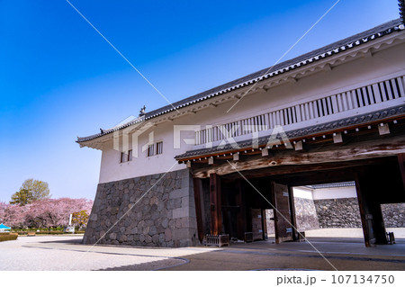 山形県霞城公園内の山形城址東大手門と桜 107134750