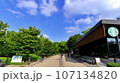 夏の早朝　大阪城公園の風景　森ノ宮側から大阪城への道程　2023-08-21 107134820