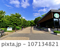 夏の早朝　大阪城公園の風景　森ノ宮側から大阪城への道程　2023-08-21 107134821