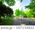 夏の早朝　大阪城公園の風景　森ノ宮側から大阪城への道程　2023-08-21 107134822