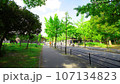 夏の早朝　大阪城公園の風景　森ノ宮側から大阪城への道程　2023-08-21 107134823