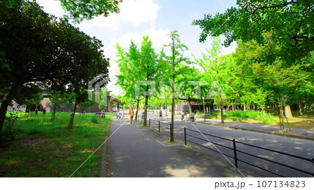 夏の早朝　大阪城公園の風景　森ノ宮側から大阪城への道程　2023-08-21 107134823